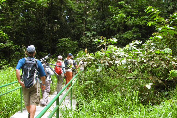 Birding at La Selva by Christa Markley