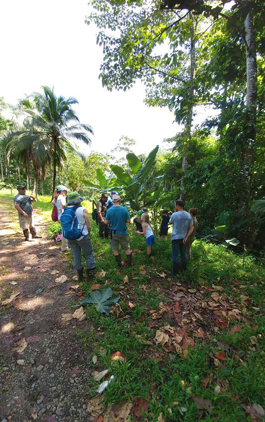 Reforestation project